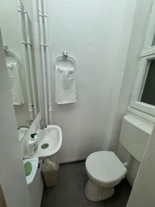 Airy & Beautiful Downtown Apartment Bucureşti Ngoại thất bức ảnh